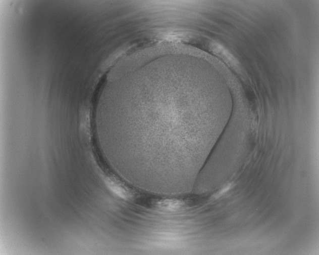 X0000071830444200607072214