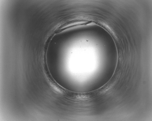 X0000071830445200607072214