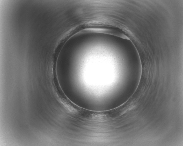 X0000071830446200607072214