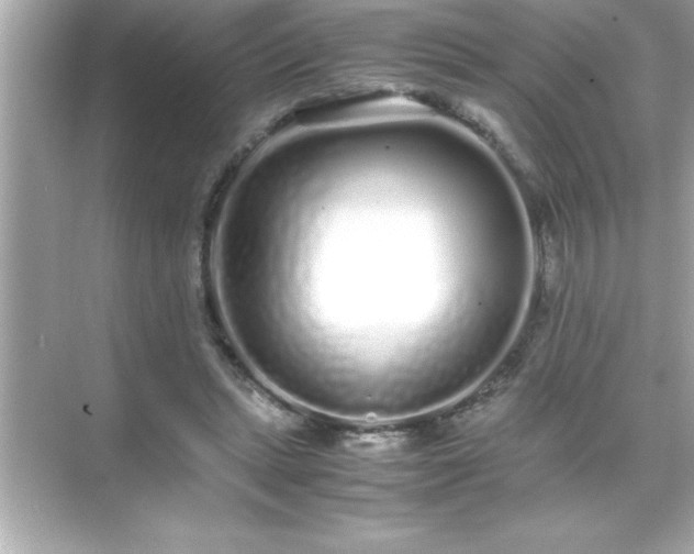 X0000071830447200607072214