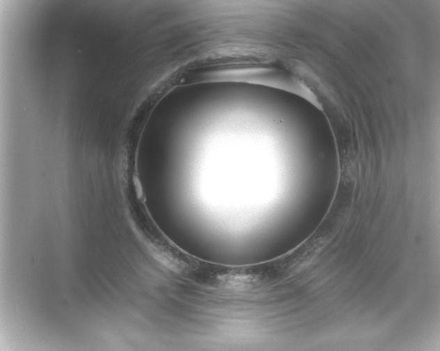 X0000071830448200607072214