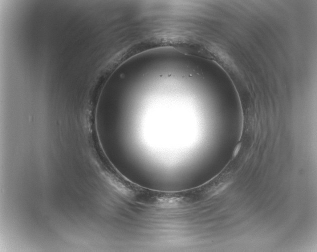 X0000071830450200607072214