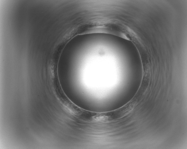 X0000071830452200607072214