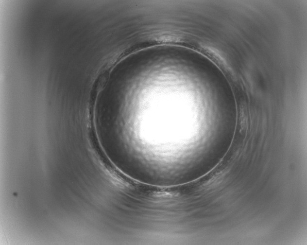 X0000071830453200607072214