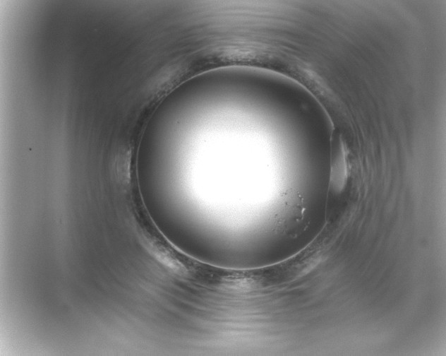 X0000071830454200607072214