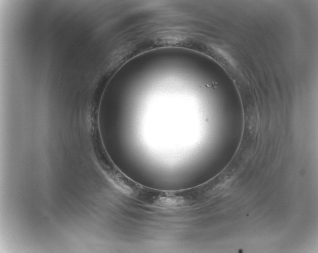 X0000071830455200607072214