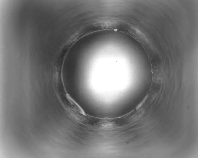 X0000071830456200607072214