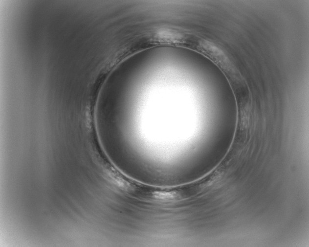 X0000071830457200607072214