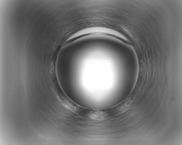 X0000071830459200607072214