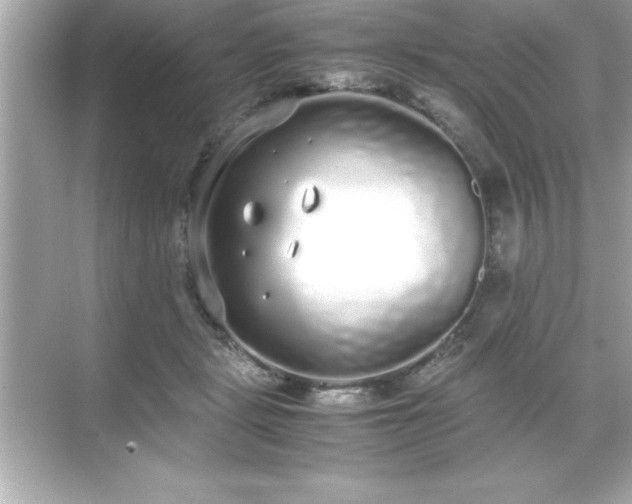 X0000071830461200607072214