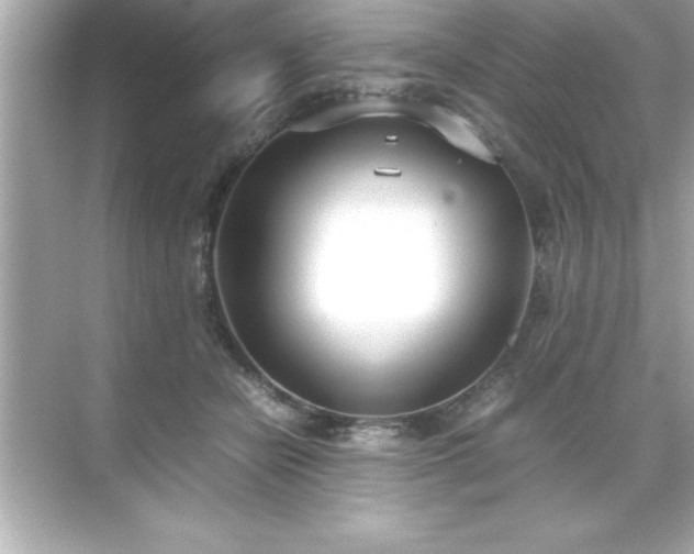 X0000071830462200607072214