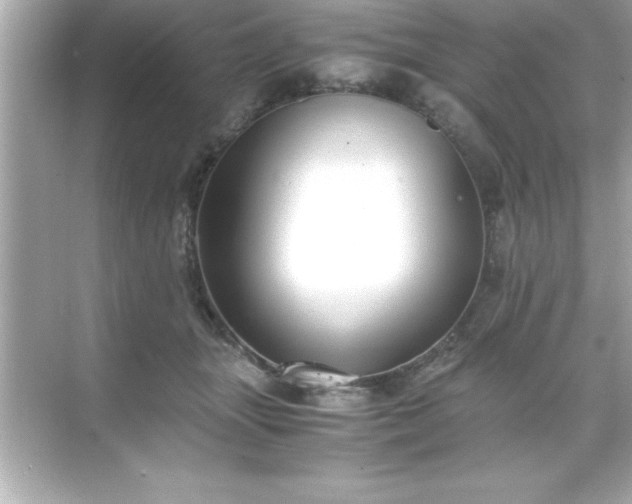 X0000071830463200607072214