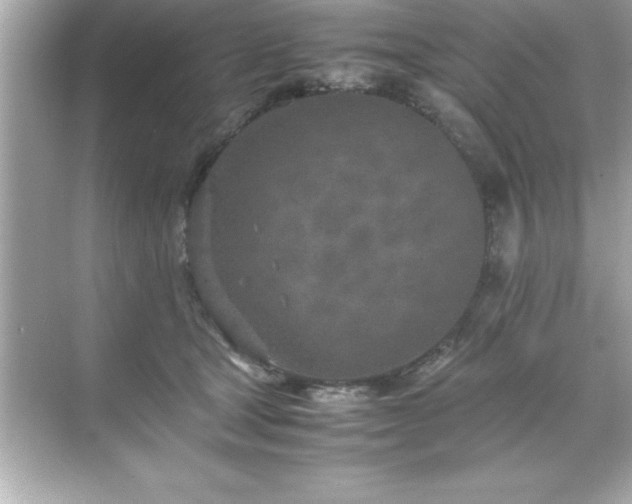 X0000071830465200607072214