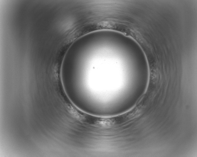 X0000071830466200607072214