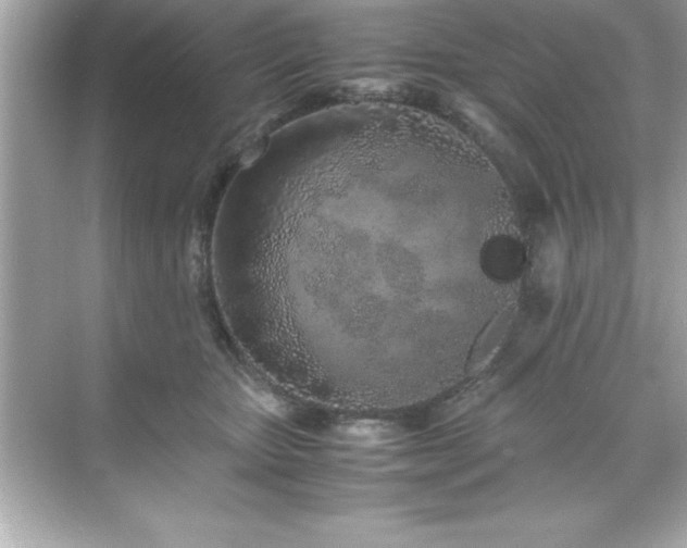 X0000071830467200607072214