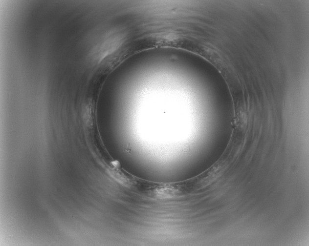 X0000071830468200607072214