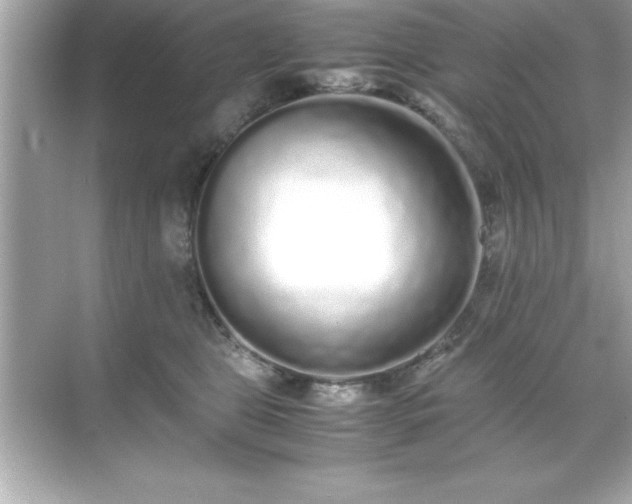 X0000071830469200607072214