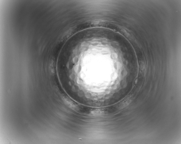 X0000071830470200607072214