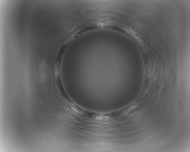 X0000071830471200607072214