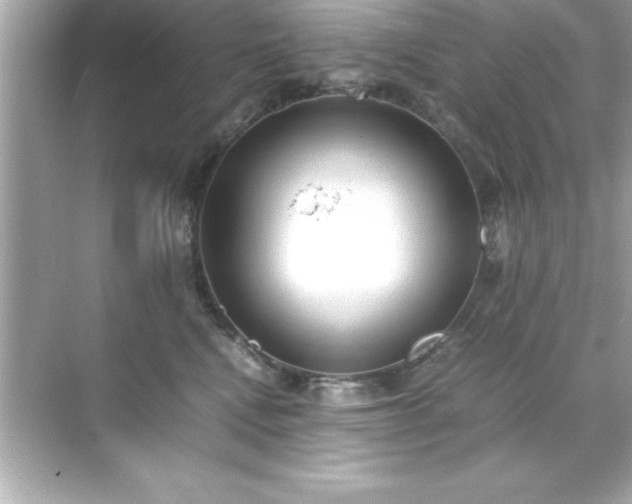 X0000071830472200607072214