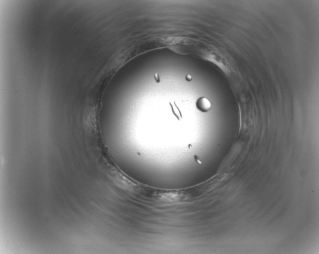 X0000071830473200607072214