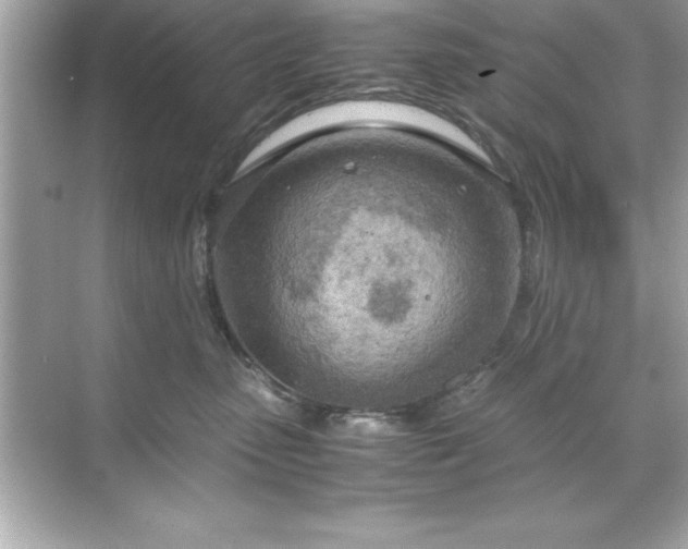 X0000071830475200607072214