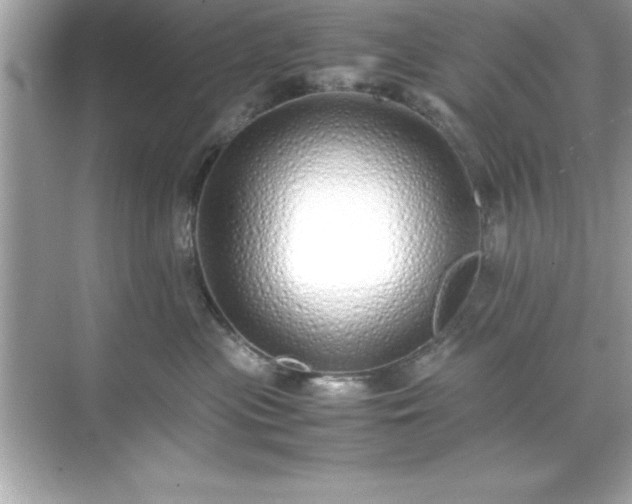 X0000071830477200607072214