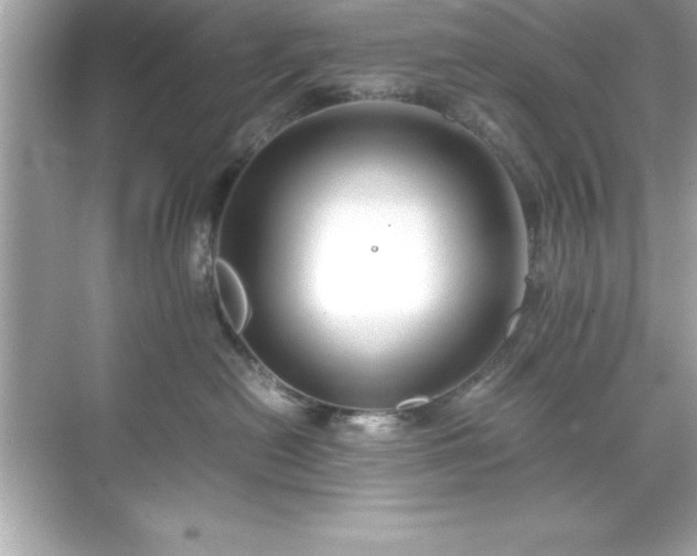 X0000071830478200607072214