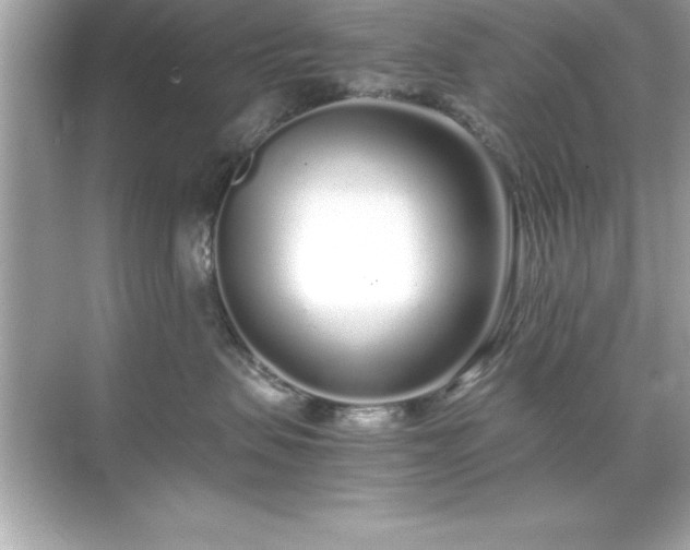 X0000071830479200607072214