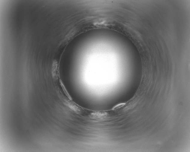 X0000071830480200607072214