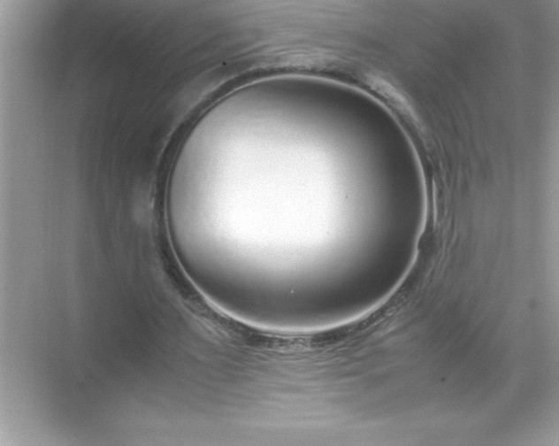 X0000071830483200607072214