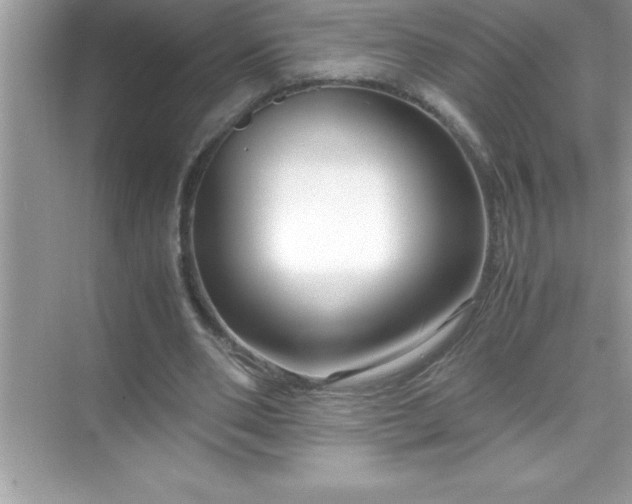 X0000071830486200607072213