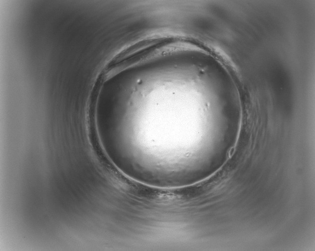 X0000071830487200607072213