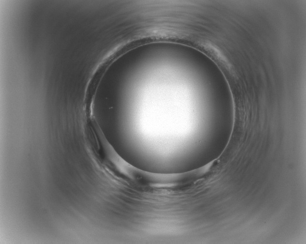 X0000071830488200607072213