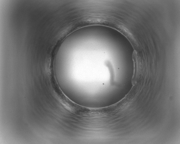 X0000071830490200607072213