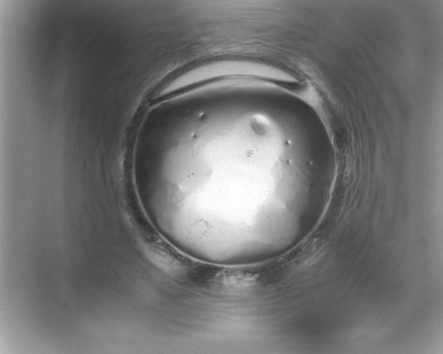 X0000071830491200607072213