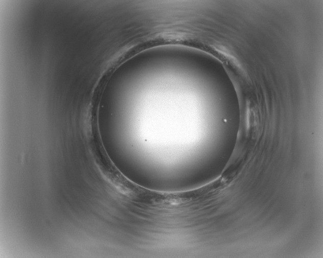 X0000071830492200607072213