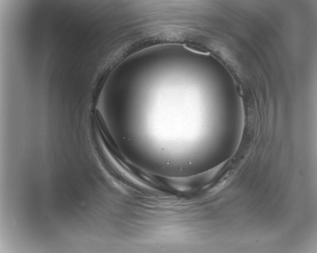 X0000071830493200607072213