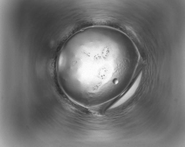 X0000071830495200607072213