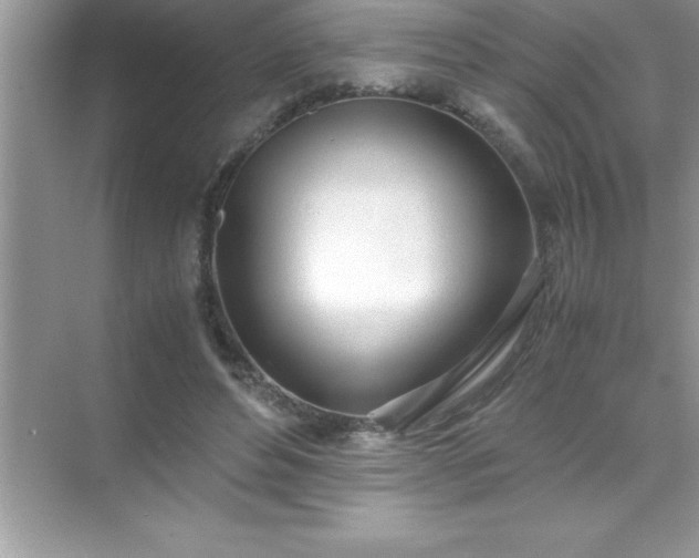 X0000071830496200607072213