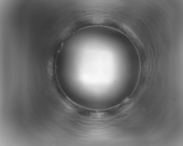 X0000071830497200607072213