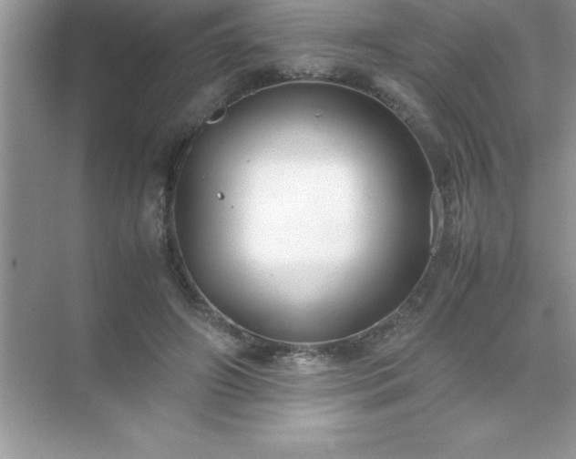 X0000071830498200607072213