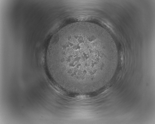 X0000071830499200607072213