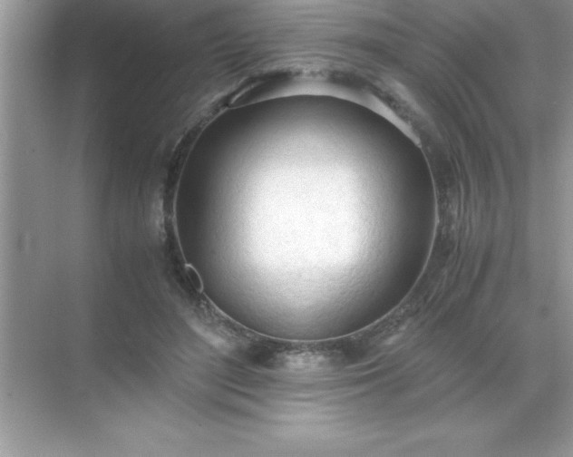 X0000071830500200607072213