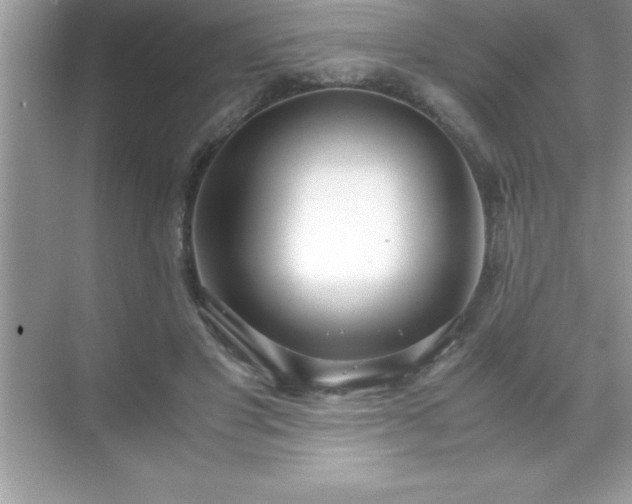 X0000071830501200607072213