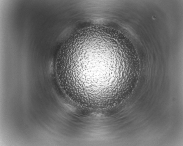 X0000071830502200607072213