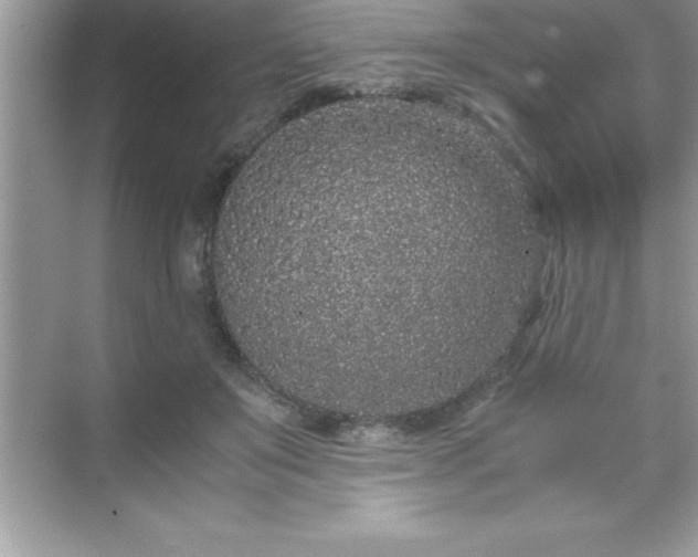 X0000071830503200607072213