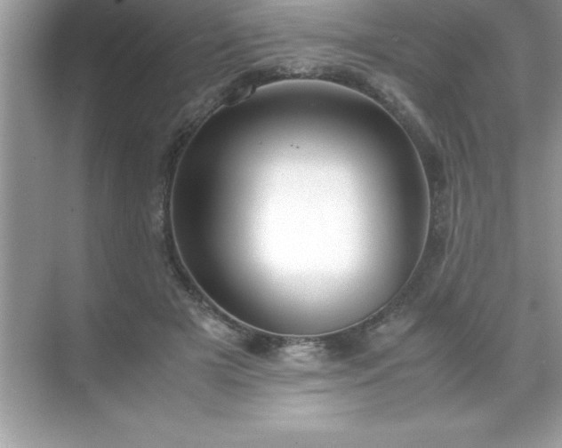 X0000071830505200607072213