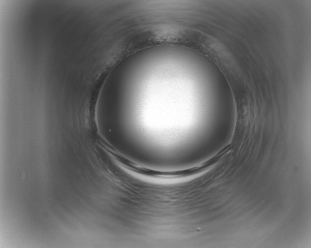 X0000071830508200607072213