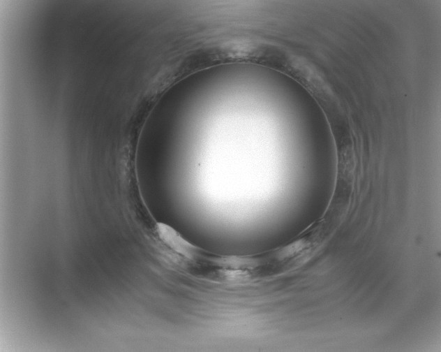 X0000071830509200607072213